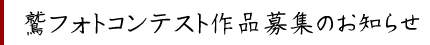 鷲フォトコンテスト作品募集のお知らせ