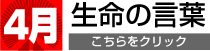 4月生命の言葉
