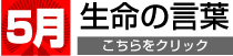 5月生命の言葉
