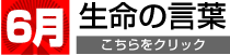 6月生命の言葉