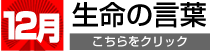 12月生命の言葉